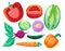 Vegetable veggies collection set illustration sliced tomatoes beets onion carrot cabbage chili and paprica