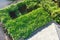 Vegetable vines growing on pergola and backyard garden near Dallas, Texas, USA