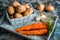 Vegetables in a basket: beets, onions, garlic, dill, potatoes, carrots on an old wooden background