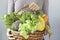 Vegetables in basket on woman`s hands, Healthy concept. New Year