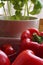 Vegetables baskets and bowls, next to basil in a pot. A fragment of a window in the kitchen