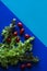 Vegetables on blue background, minimalist photography