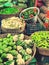 Vegetables Cabbage, cauliflower, greenchillies, capsicum, brinjal, bitterguard, raddish vegetables in basket at market in India