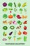 Vegetables cartoon collection for kids