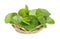 Vegetables, Centella asiatica, Asiatic Pennywort on white background