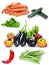 Vegetables collage