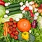 Vegetables collection food background square tomatoes carrots potatoes fresh vegetable