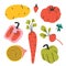 Vegetables collection, isolated hand drawn veggies, farming and gardening products, paprika pepper, carrot, tomato and