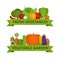 Vegetables collection. Organic and healthy food. Flat style, vector illustration.