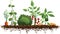 Vegetables and Dirt Garden Vector Illustration Silhouette