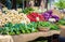 Vegetables at farmers market