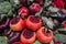 Vegetables, flowers, apples and pomegranates autumn background