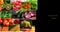 Vegetables fresh organic different, collage  veggies natural