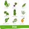 Vegetables and fruits with a high content of iron. Hand drawn vector vitamin set