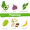Vegetables and fruits with a high content of magnesium. Hand drawn vector vitamin set