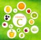 Vegetables and fruits with a high content of vitamin c. Vector infographics.