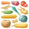 Vegetables, Fruits And Plants Colour Vector