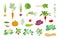 Vegetables harvest plant icon set. Vector farm plants. Onion carrot cabbage, garlic pumpkin dill tomato and many other. Popular