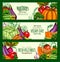 Vegetables harvest vegan cafe vector banners set