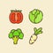 Vegetables icon set collection tomato cabbage brocolli radish white isolated background with color flat outline style