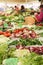 Vegetables on an outdoor farmers market