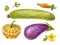 Vegetables painted in watercolor. Zucchini, eggplant and squash