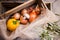 Vegetables prepared for cooking, pepper, mushroom and onion