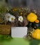 Vegetables with pumpkin and wildflowers on the table. Notepad with a blank field for writing text. Autumn card.