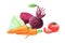 Vegetables and root vegetables. Beets, cabbage, carrots and tomatoes. Whole and in a cut. Graphic drawing with colored pencils.