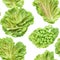 Vegetables seamless pattern, Lettuce and green peas