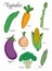 Vegetables set with cucumber, carrot, asparagus, eggplant, broccoli, onion, peas.