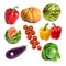 Vegetables set on a white background- pumpkin, sweet pepper, cabbage, watermelon, eggplant, branch of tomatos