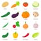 Vegetables signed names icons set, isometric style