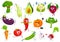 Vegetables sportsmen, vector cartoon veggies set