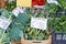 Vegetables stall in Italian market