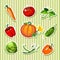 Vegetables sticker: carrot, pumpkin and other