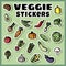 Vegetables stickers colorful set. Collection of veggie flat labels