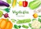 Vegetables top view frame. Farmers market menu design. Colorful fresh vegetables, organic healthy food, vector