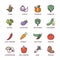 Vegetables vegan raw food colored vector icons set