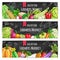 Vegetables. Vegetarian food vector banners