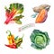 Vegetables Watercolour Set. Savoy cabbage, Sweet pepper, Sweet potato, Rhubarb.