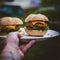 Vegetarian Burger. Homemade.