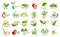 Vegetarian food and meals, vector icons set