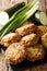 Vegetarian greek zucchini balls kolokithokeftedes close-up on a slate board. vertical