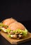 vegetarian sandwich on a black background. There is a place for text. Vertical image
