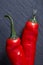 Vegetarian still life with fresh grape tomatoes, pepper and salt in wooden spoon on wooden background, selective focus