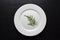 Vegetarianism, diet. A round, white plate with a green twig on a black wooden background