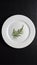 Vegetarianism, diet. A round, white plate with a green twig on a black wooden background