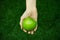 Vegetarians and fresh fruit and vegetables on the nature of the theme: human hand holding a green apple on a background of green g