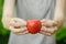 Vegetarians and fresh fruit and vegetables on the nature of the theme: human hand holding a tomato on the background of green gras